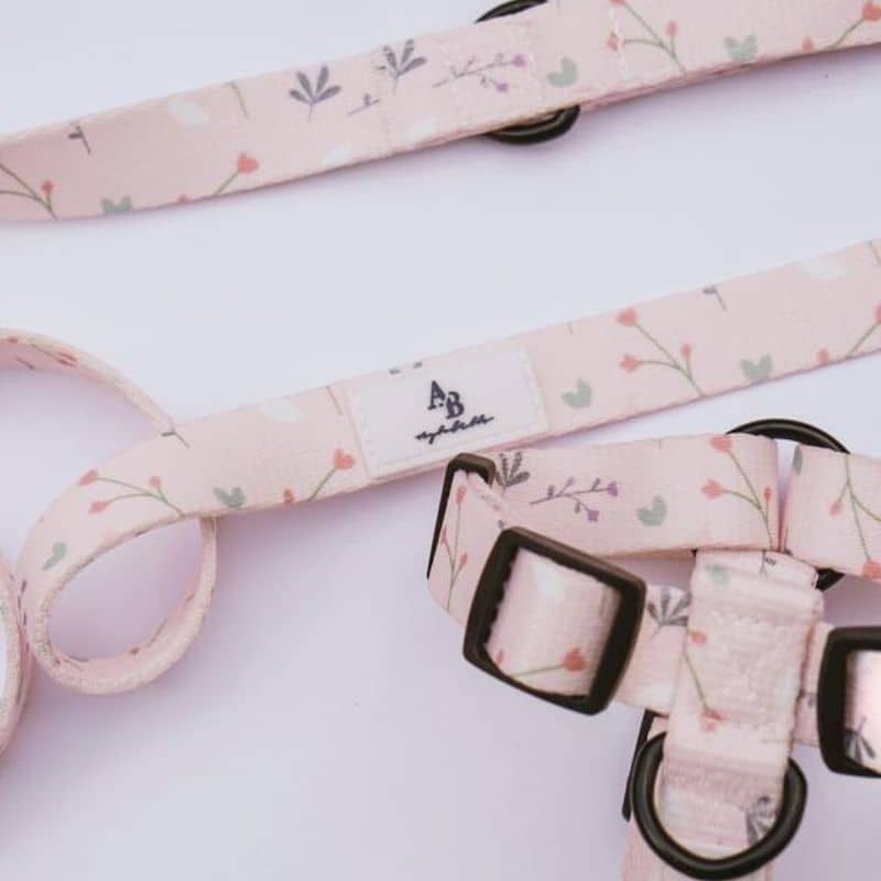 laisse et harnais pour chien motif pink blossom de la marque Aylabella