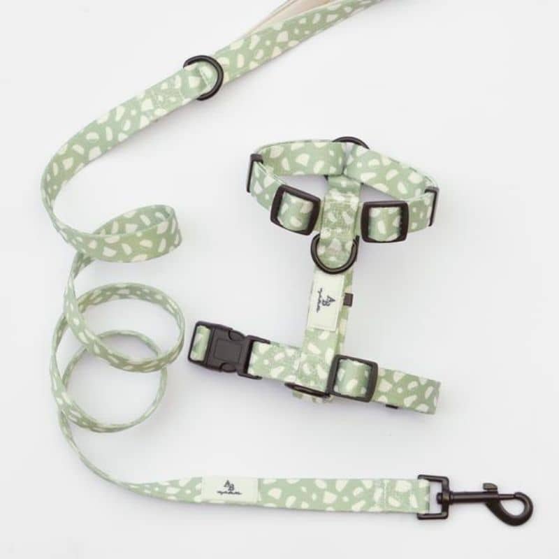 laisse et harnais strap pour chien vert pastel de la marque Aylabella