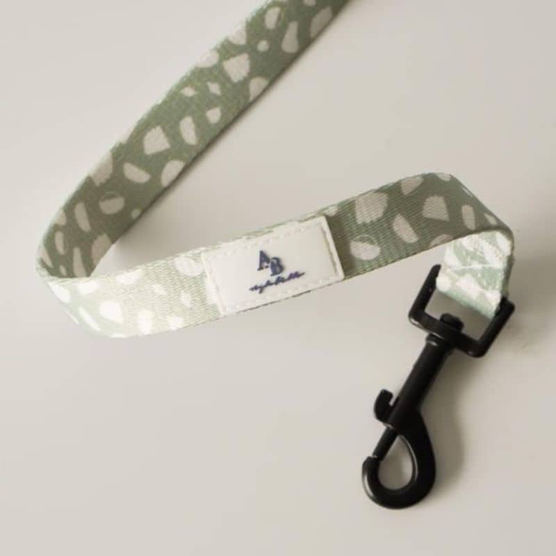 laisse pour chien vert pastel tendance