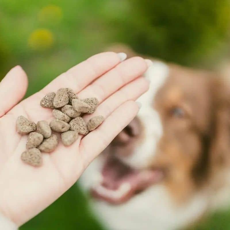 friandises naturelles pour chien aux propriétés anti stress Baltica à base de valériane, chanvre et crevettes