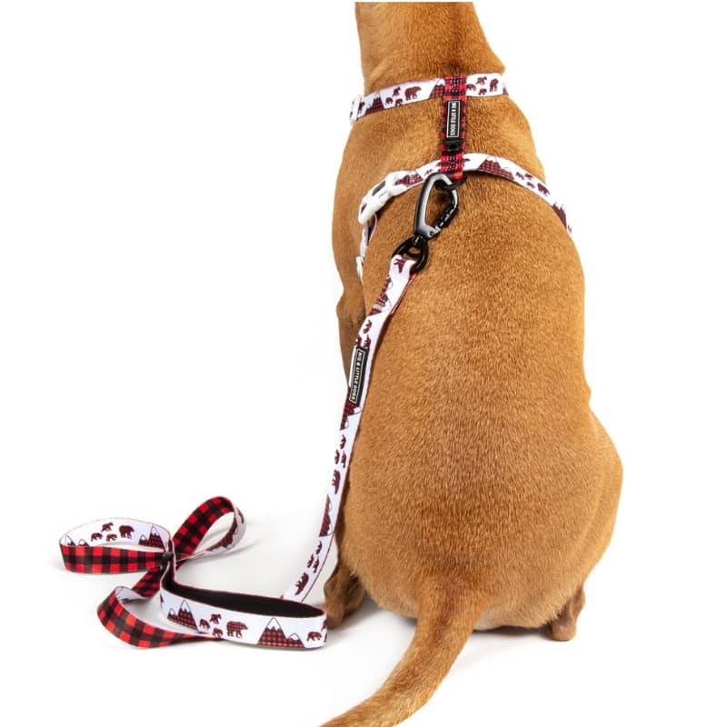 harnais strap pour chien Big & Little Dogs tartan, montagne et ours