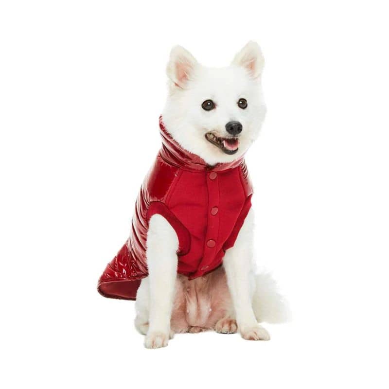 Doudoune pour chien rouge bordeaux imperméable confortable