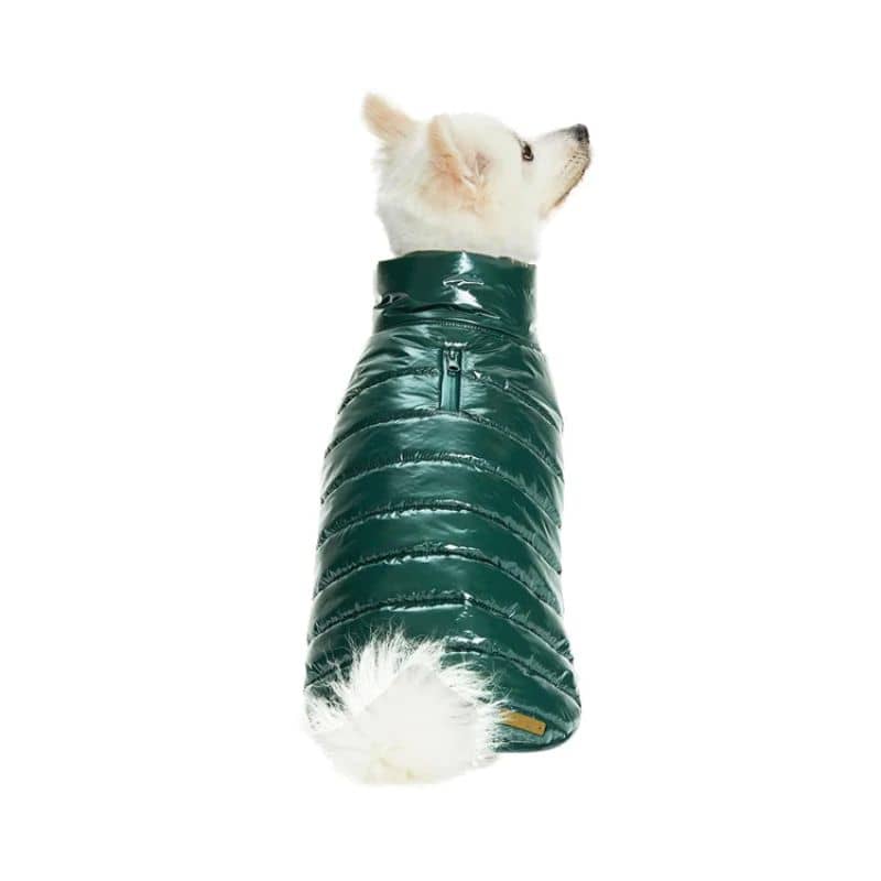 Doudoune pour chien rouge bordeaux imperméable confortable