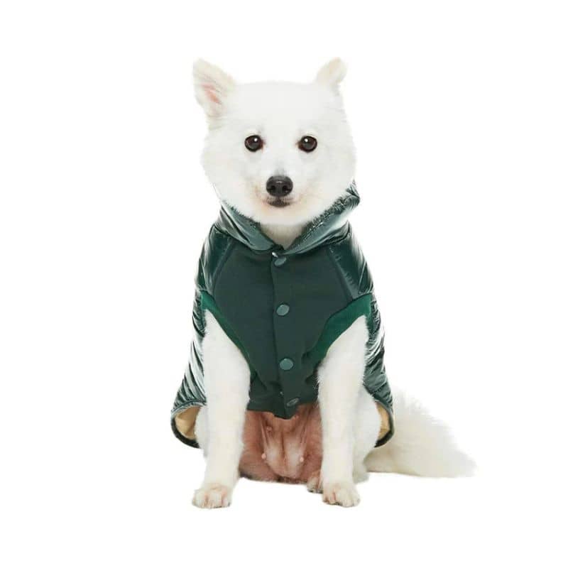 Doudoune pour chien rouge bordeaux imperméable - dos
