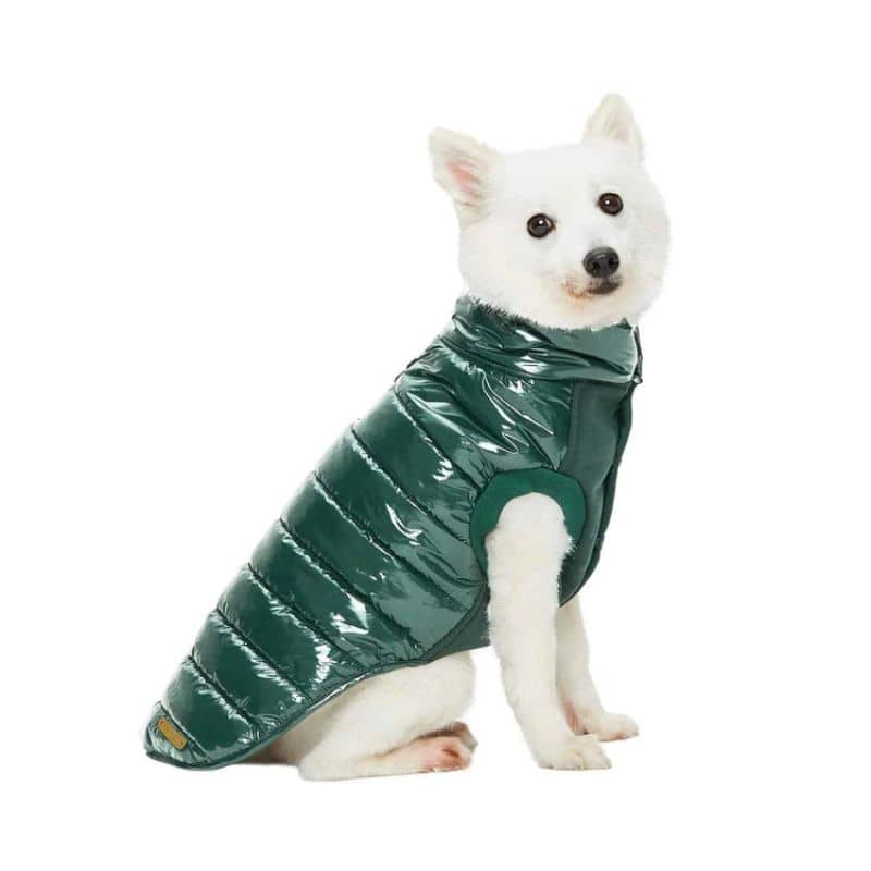 Doudoune pour chien rouge bordeaux imperméable pour chiot