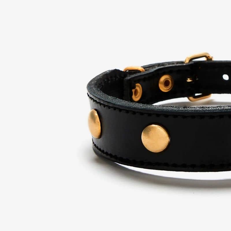 Collier pour chien en cuir noir avec clous ronds dorés - détail