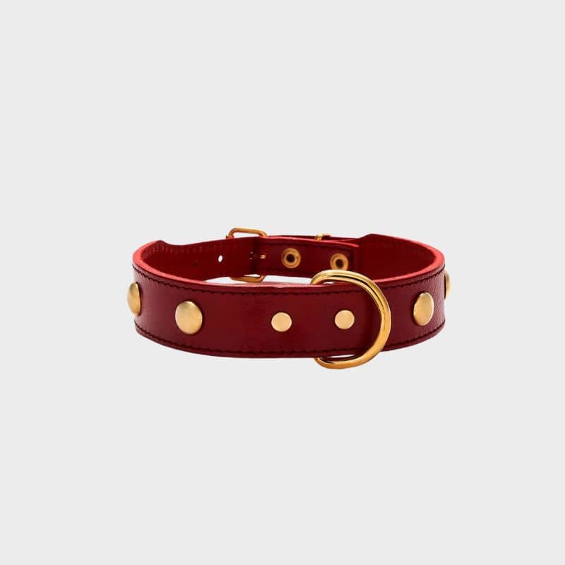 COLLIER EN CUIR POUR CHIEN BRANNI PETS - MILO ROUGE AVEC CLOUS RONDS COLLIER EN CUIR POUR CHIEN BRANNI PETS - MILO ROUGE AVEC CLOUS RONDS