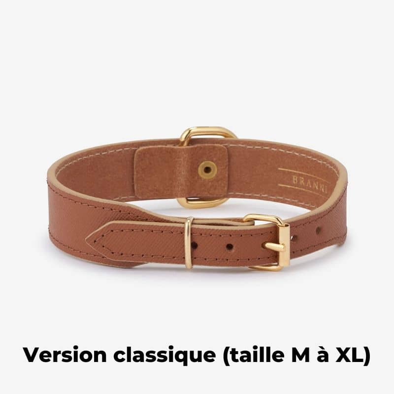 Collier pour chien en cuir italien de couleur cognac