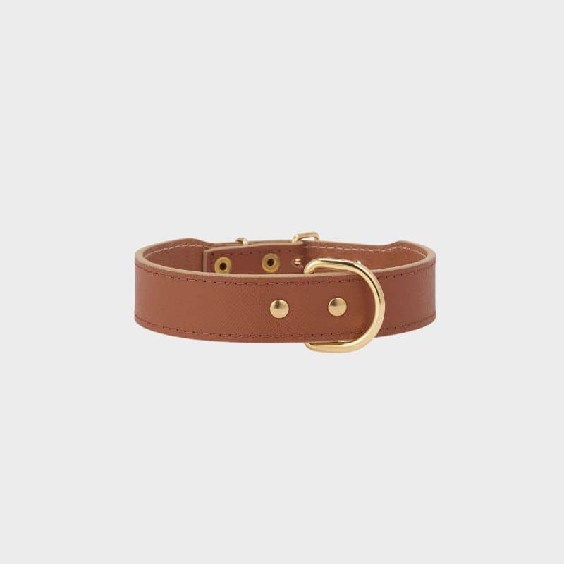 Collier en cuir marron pour chien