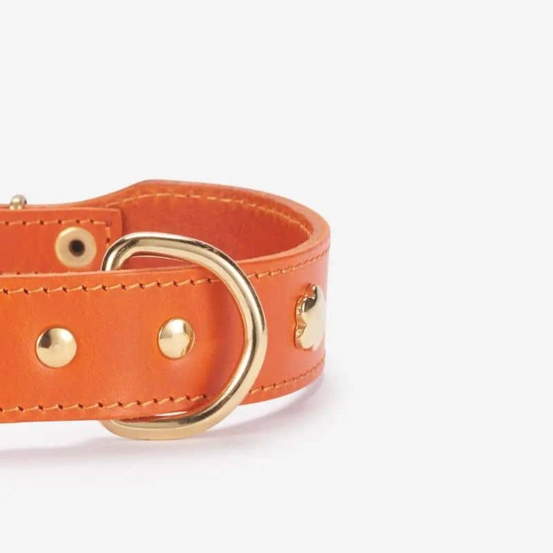 Collier pour chien en cuir italien artisanal - Milo en orange