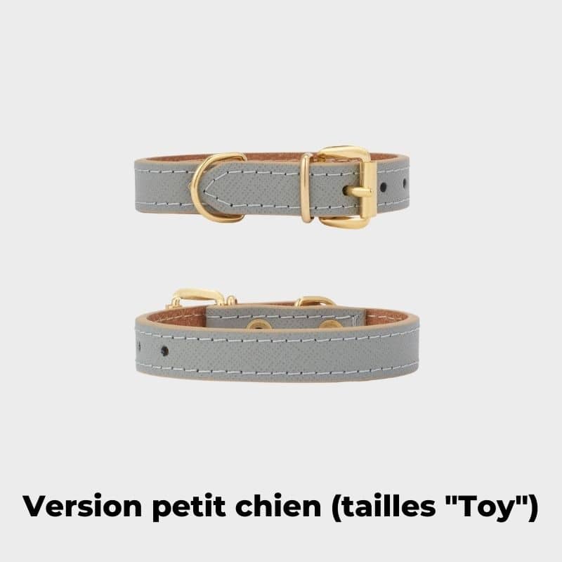 collier pour petit chien en cuir gris