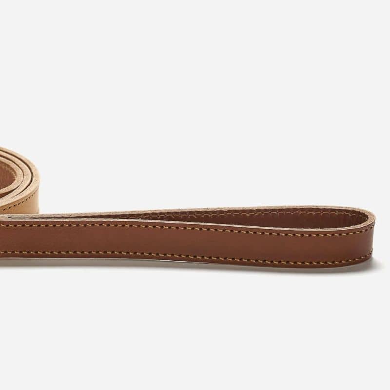 Laisse pour chien en cuir bicolore - cognac - détail poignée