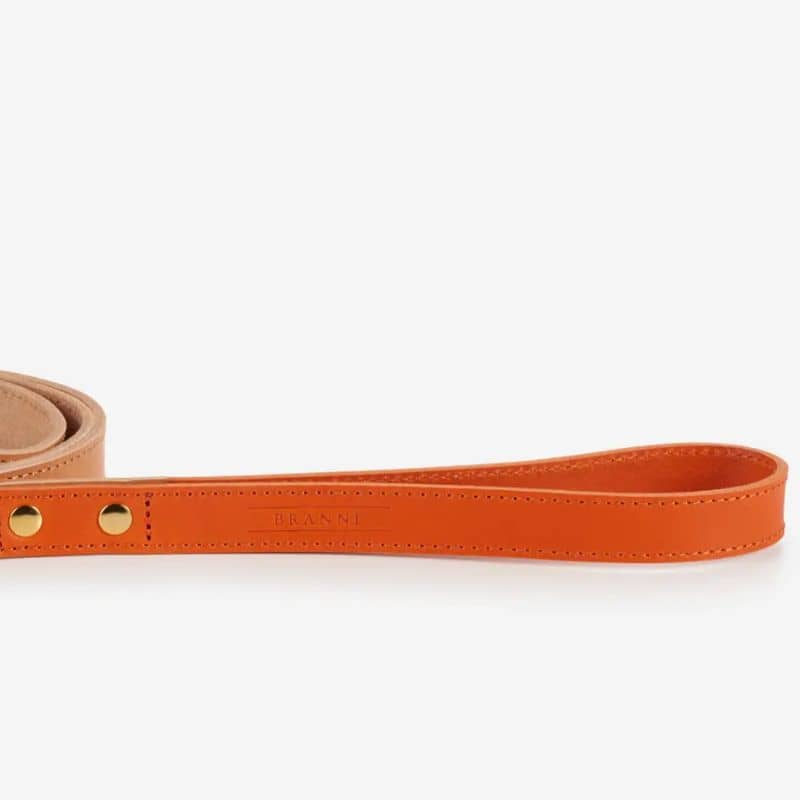 Laisse pour chien bicolore en cuir italien Rocco en orange