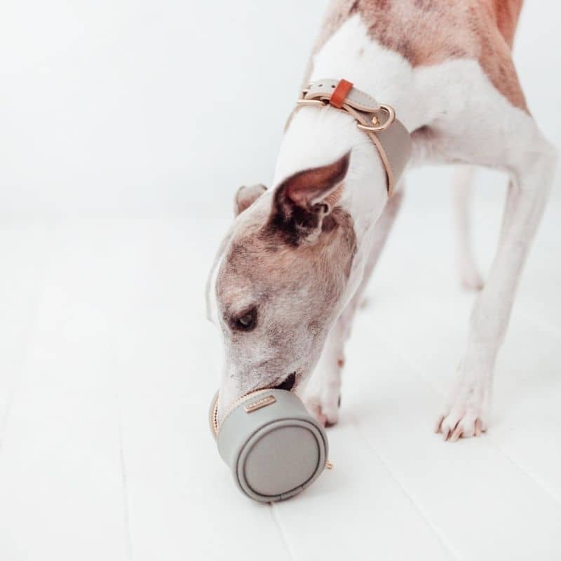 treats bag pour chien en cuir gris 