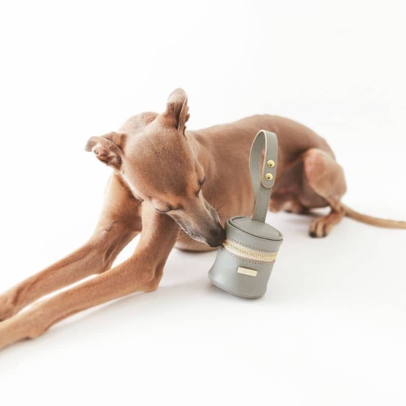 treats bag en cuir gris pour chien chic 