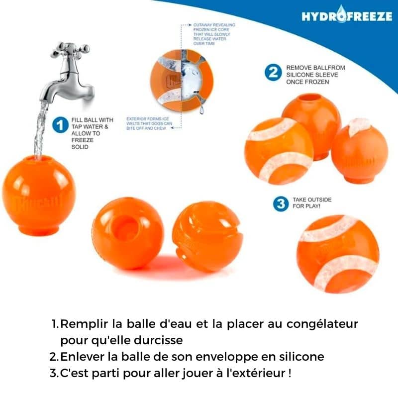 balle hydrofreeze chuckit pour chien : passe au congélateur pour rafraichir votre chien l'été