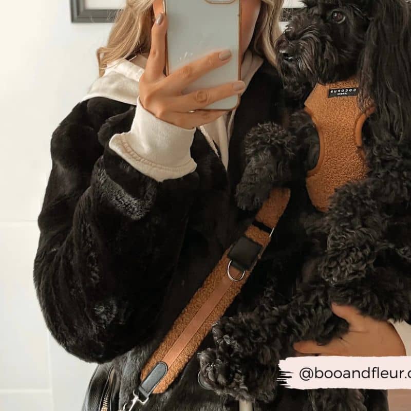 Dog mom avec sacoche balade pour chien et anse en teddy caramel