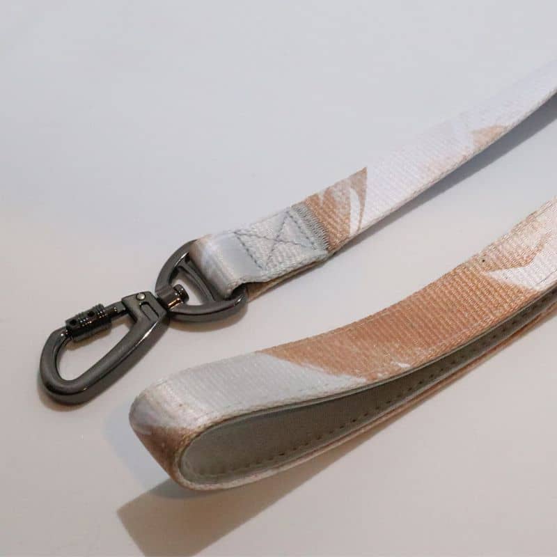 Détail mousqueton sécurisé laisse pour chien