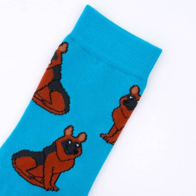 Détail chaussette berger allemand