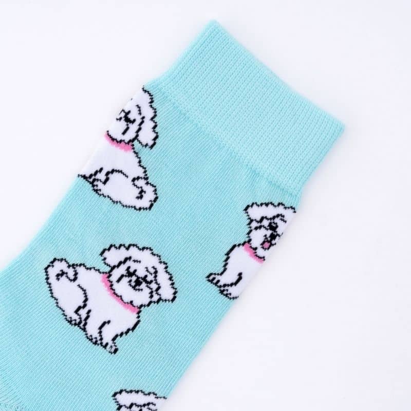 coucou suzette chaussette en coton bleu cyan avec motif de bichon tendance