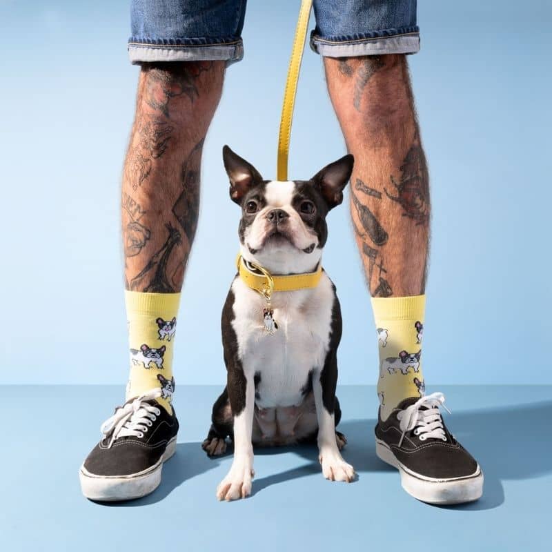 CHAUSSETTES COTON - BOULEDOGUE