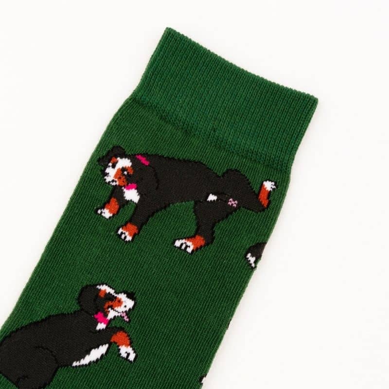 chaussettes en coton bouvier bernois motif chien original