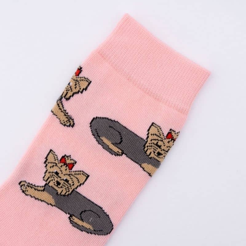 coucou suzette chaussette en coton rose avec motif yorkshire