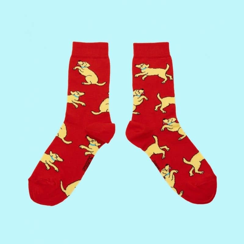 coucou suzette chaussette rouge en coton avec motif labrador mignonne