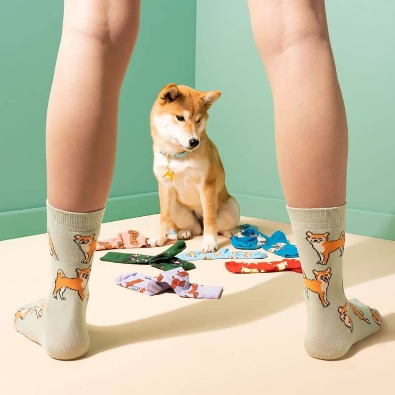 CHAUSSETTES COTON - SHIBA