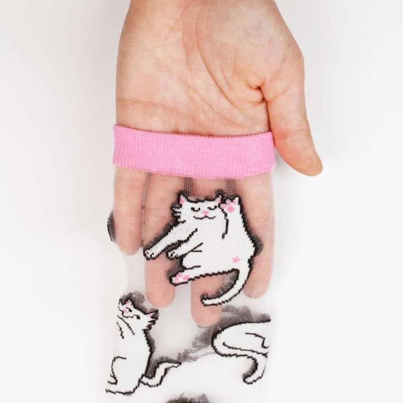 CHAUSSETTES TRANSPARENTES - CHAT