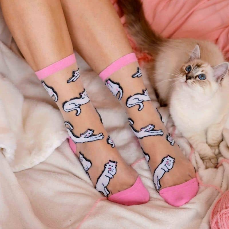 CHAUSSETTES TRANSPARENTES - CHAT