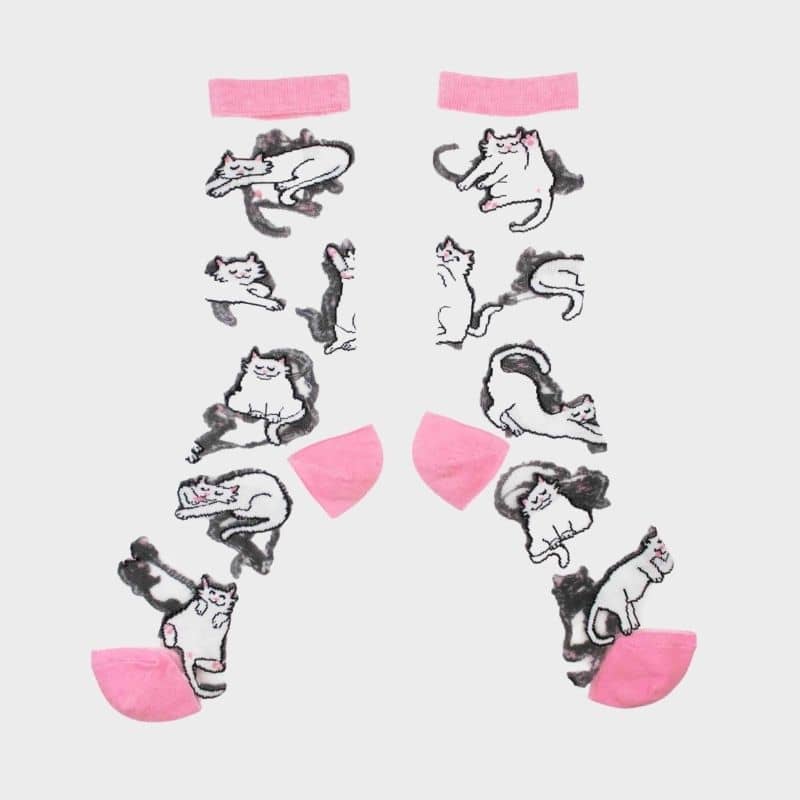CHAUSSETTES TRANSPARENTES - CHAT