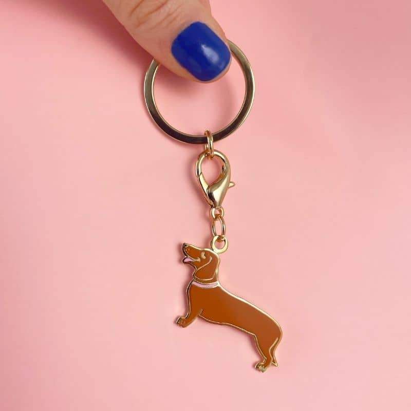 PORTE CLEF TECKEL A POIL DUR de Cadeau chien chat pas cher, livré