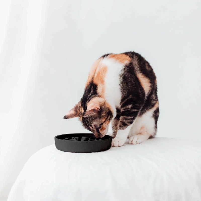 GAMELLE ANTI-GLOUTON POUR CHAT EN BAMBOU DISTRICT70 (3 COULEURS DISPO ...