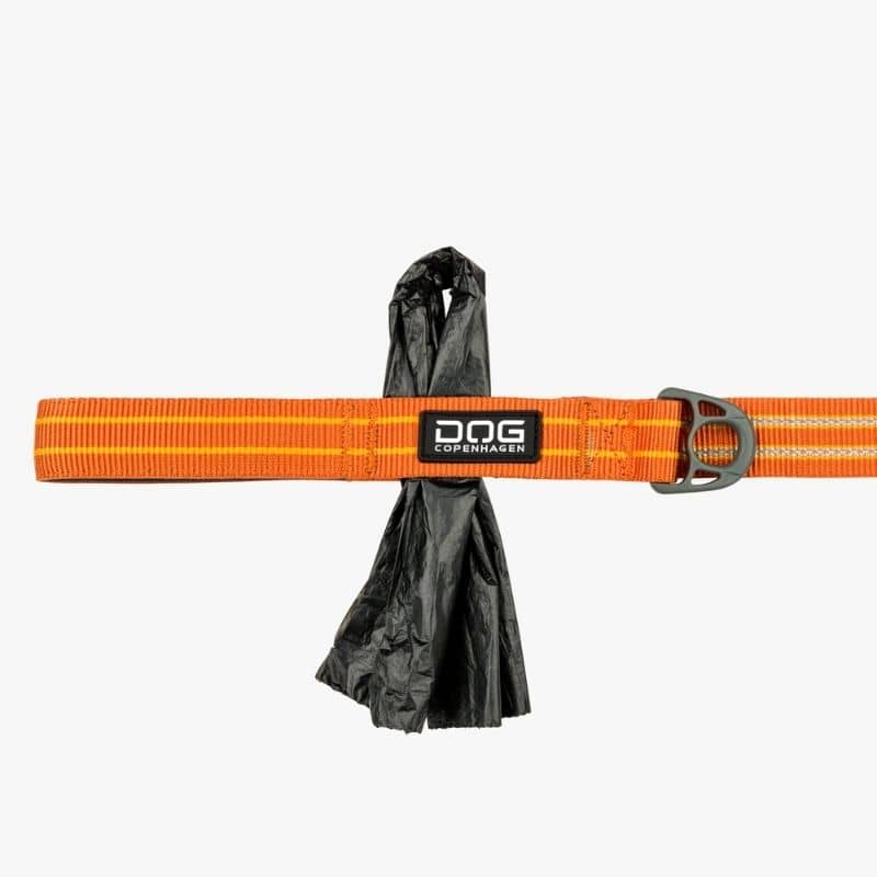 Laisse pour chien et chiot orange fluo Puppia - Laisses chiens