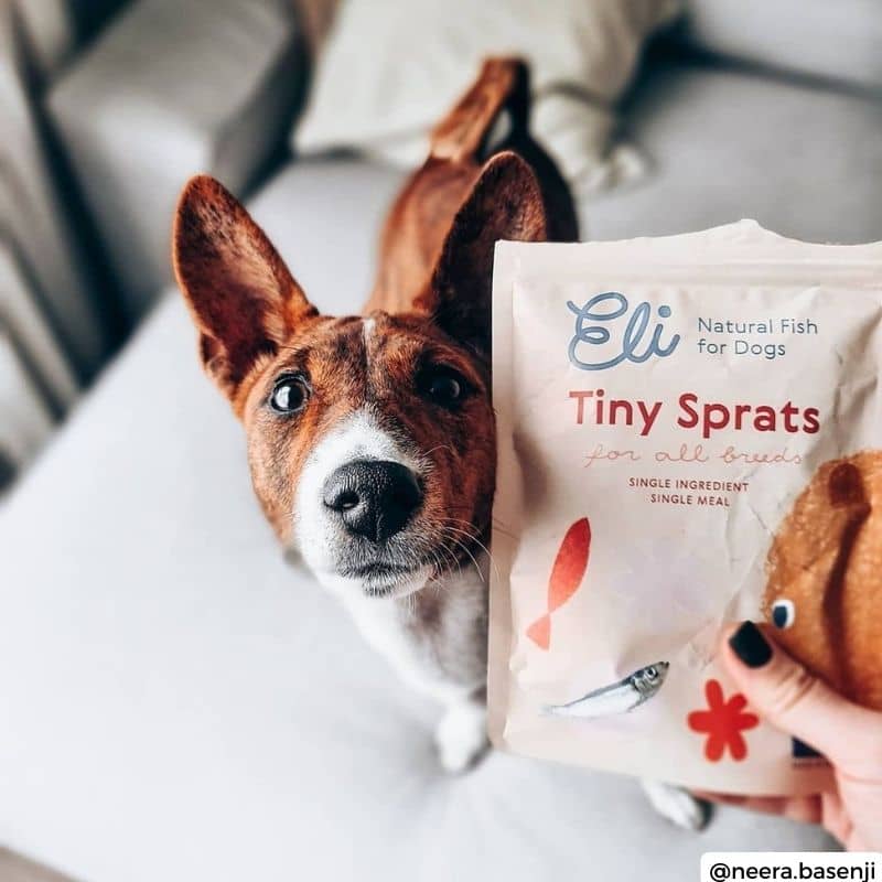 friandises naturelles pour chien  - poisson séché Sprat de la marque ELI