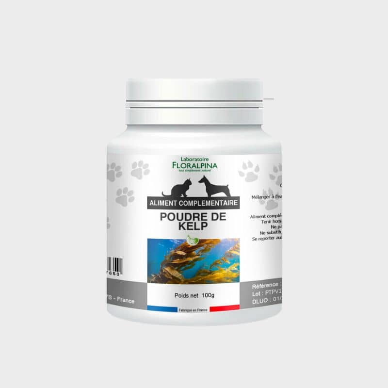 poudre de kelp pour chien et chat Floralpina : renforce le système immunitaire et évite la formation de plaque dentaire
