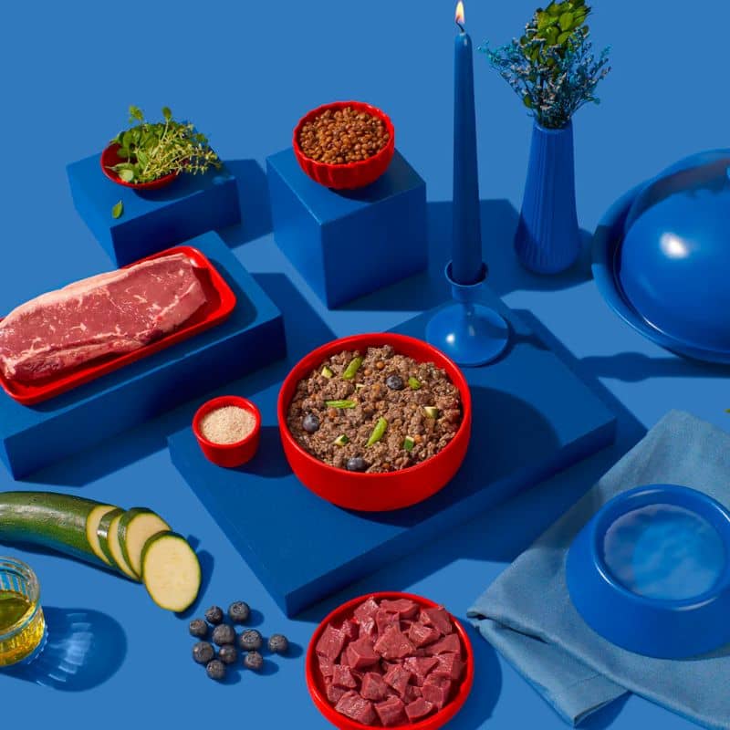 pâtée pour chien Fred & Felia : recette inspirée de la cuisine française par le chef étoilé Tim Raue pour sa chienne Sherley à base de roti de boeuf et haricots verts
