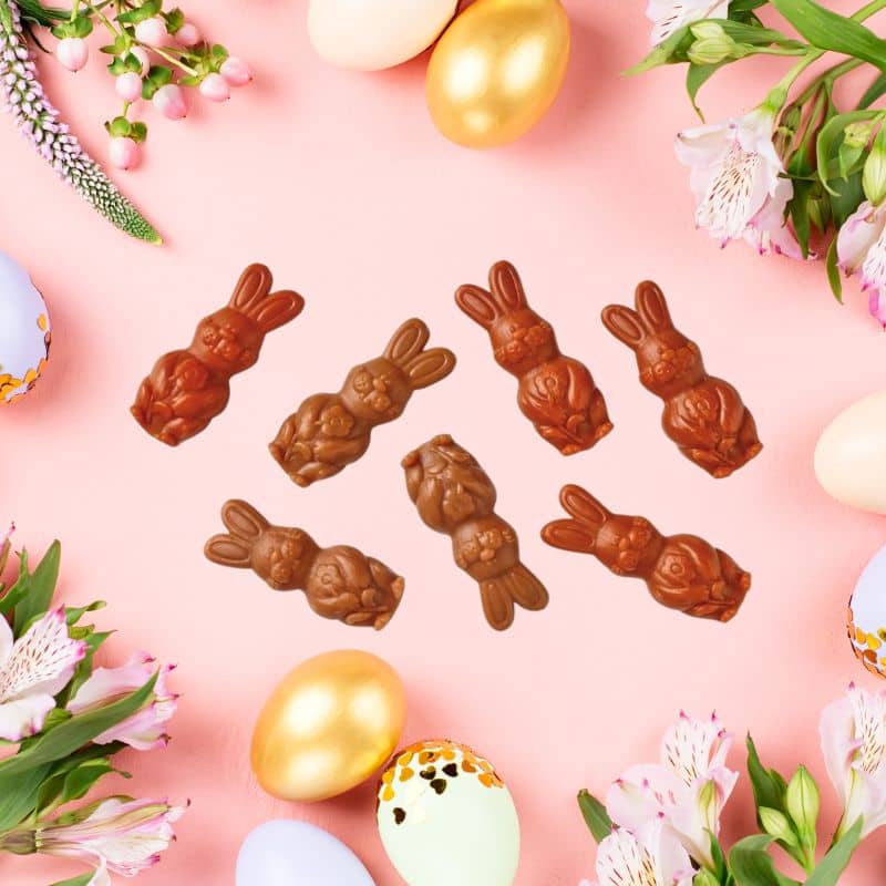 snack dentaire friandise à macher pour chien gout poulet en forme de lapin de paques