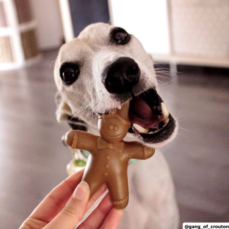 Friandises à mâcher de Noel au beurre de cacahuète