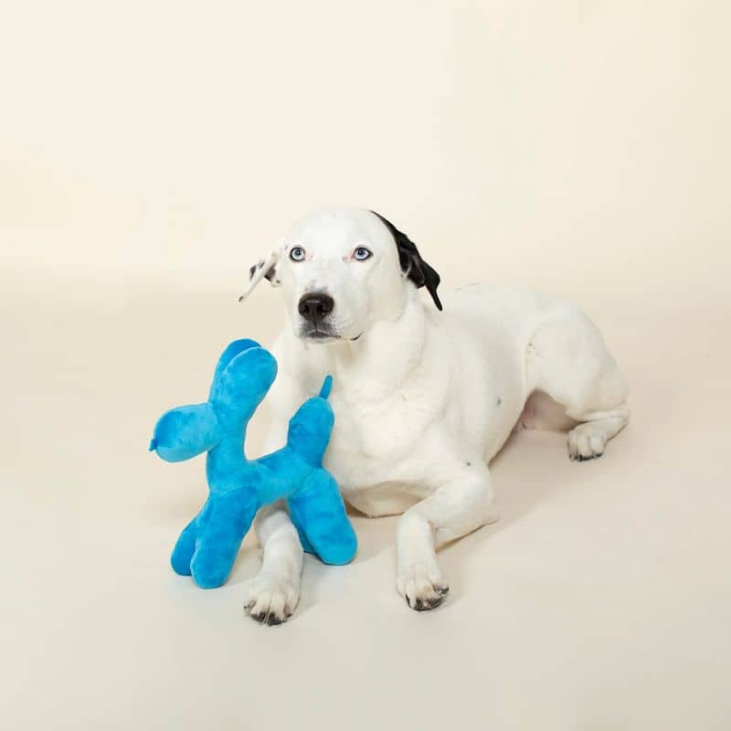 Peluche pour chien design - Balloon dogs par Jeff Koons