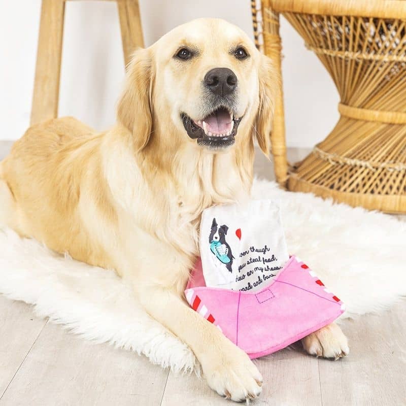 jouet interactif pour chien de la marque Fringe Petshop pour la Saint valentin "Just write for me" envellope dans laquelle cacher des friandises et lettre d'amour