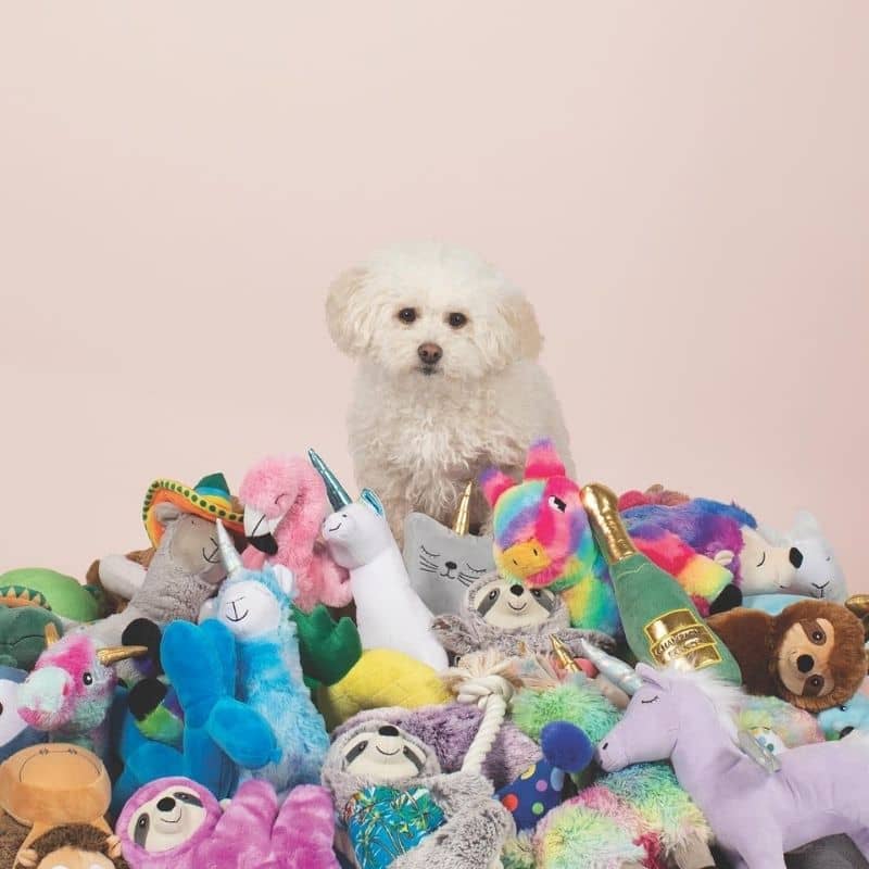 lot de trois mini peluches d'anniversaire  pour chien en forme de cupcake, chapeau pointu et cocarde "Happy Bark-Day!" de la marque Fringe Pet Shop