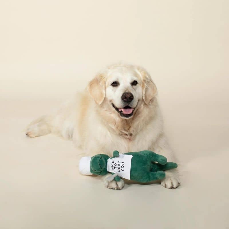 jouet peluche pour chien en forme de dinosaure chef cuisto "King of the Grill" par la marque Fringe Pet Shop