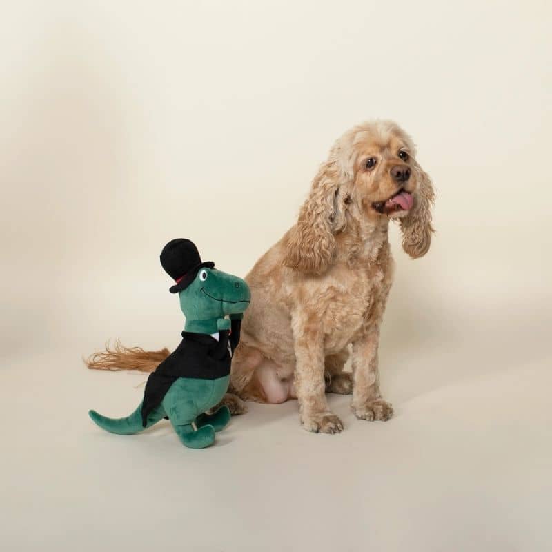 PELUCHE POUR CHIEN, DINOSAURE EN COSTUME