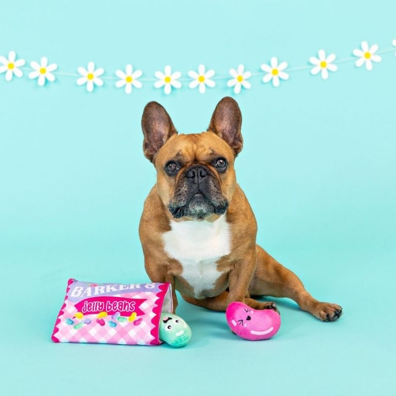 Peluche pour chien en forme de paquet de bonbon "jelly beats"  Modifier le texte alternatif