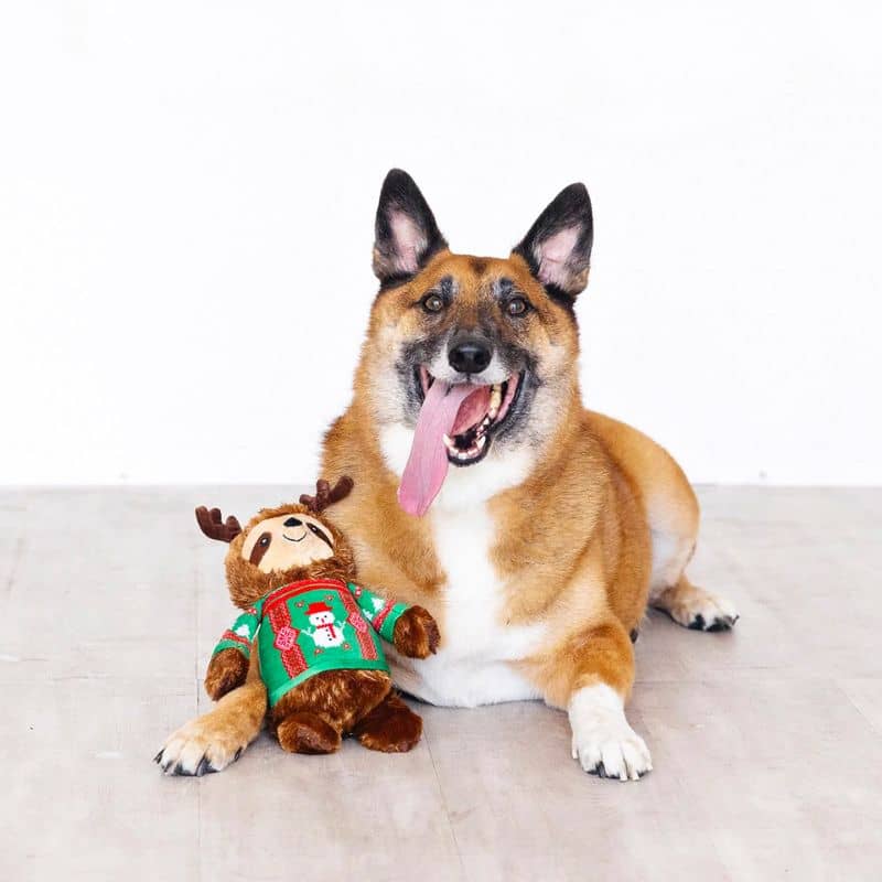 jouet peluche pour chien de la marque Fringe Pet Shop en forme de paresseux avec pull de noel Feeling Festive