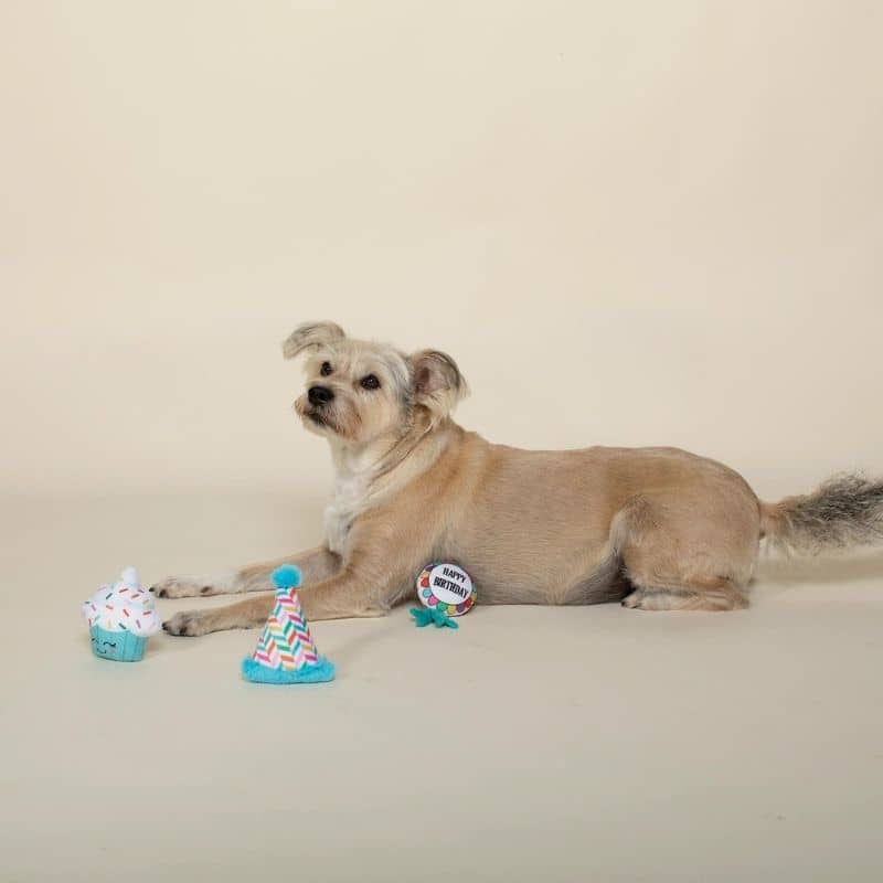 lot de trois mini peluches d'anniversaire pour chien en forme de cupcake, chapeau pointu et cocarde "Happy Bark-Day!" de la marque Fringe Pet Shop