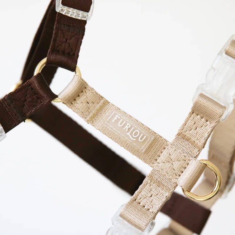 CEINTURE LIBERTY - Le chien blanc