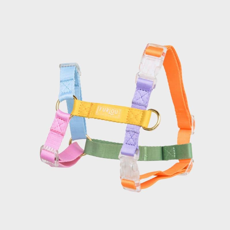 Harnais pour chien en strap de Furlou